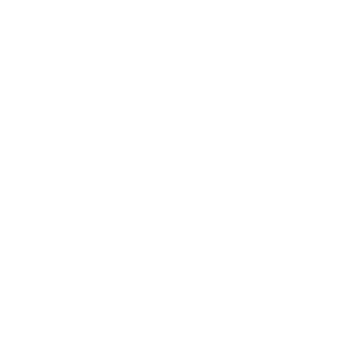 5 (4)