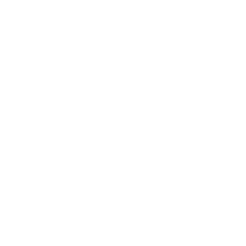 6 (5)