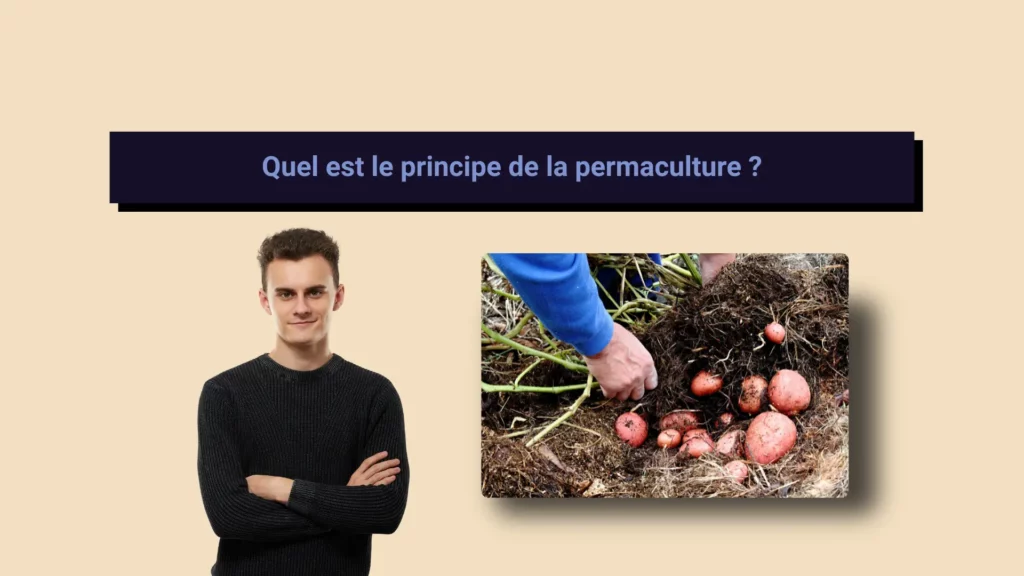 Image ou un homme est de face en train de croiser les doigts avec une image de la permaculture à côté de lui.