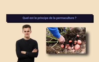 Quel est le principe de la permaculture ?